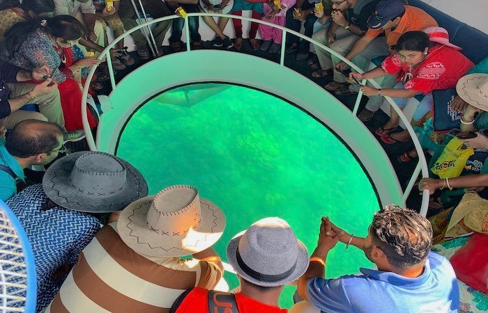 Glass Bottom Boat Ride in North Bay