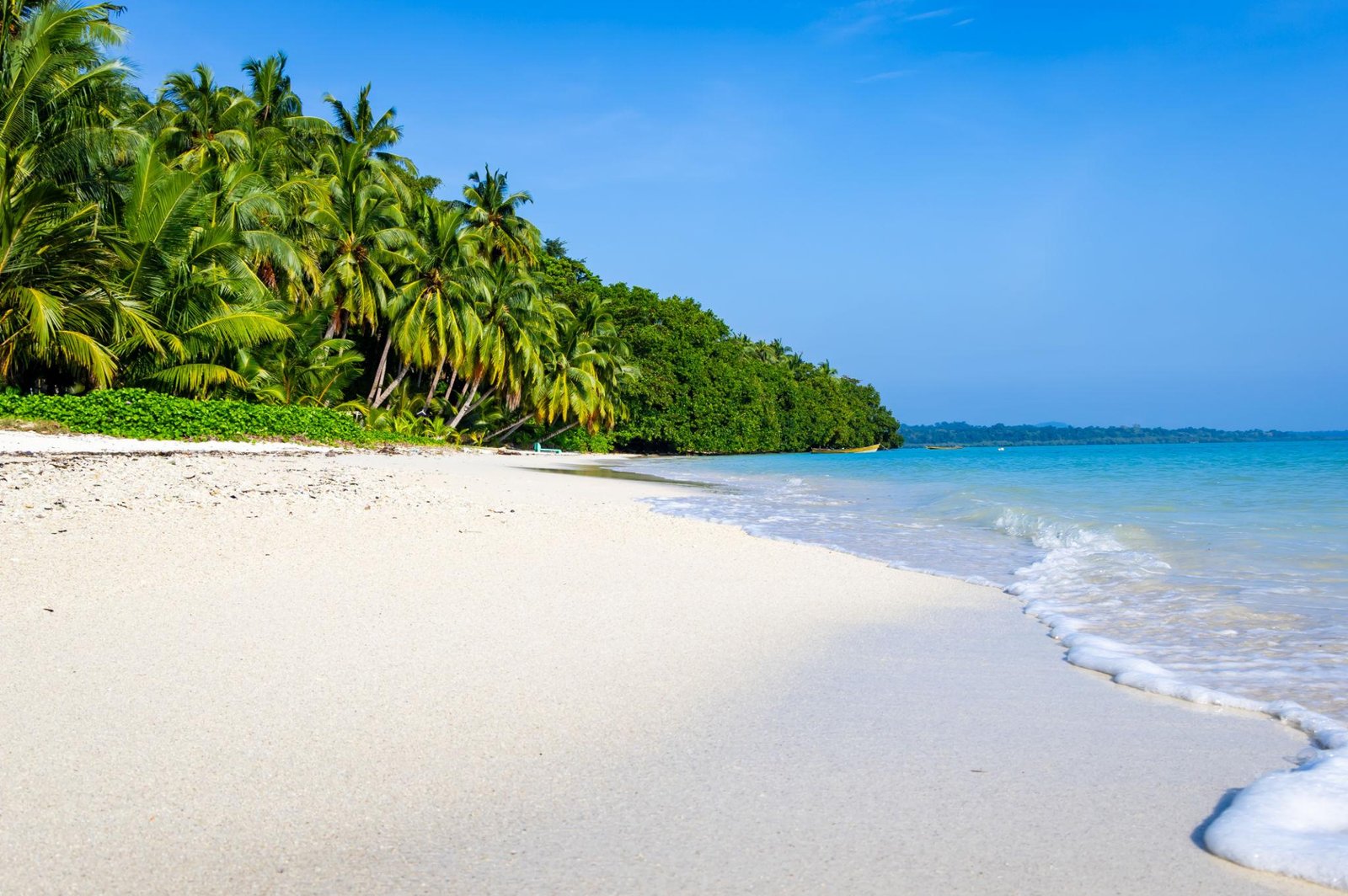 Andaman Travel Tips 2026 - Complete Guide for First-Time Visitors