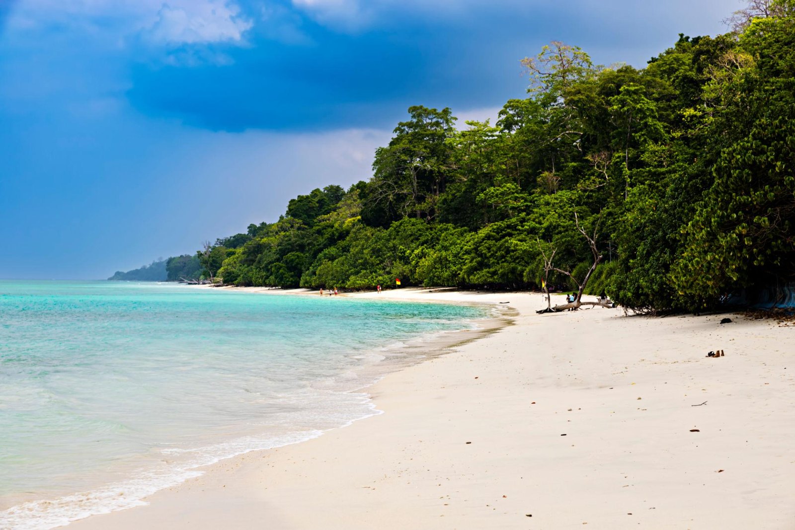 Bangalore to Andaman 5 Nights / 6 Days Tour Package