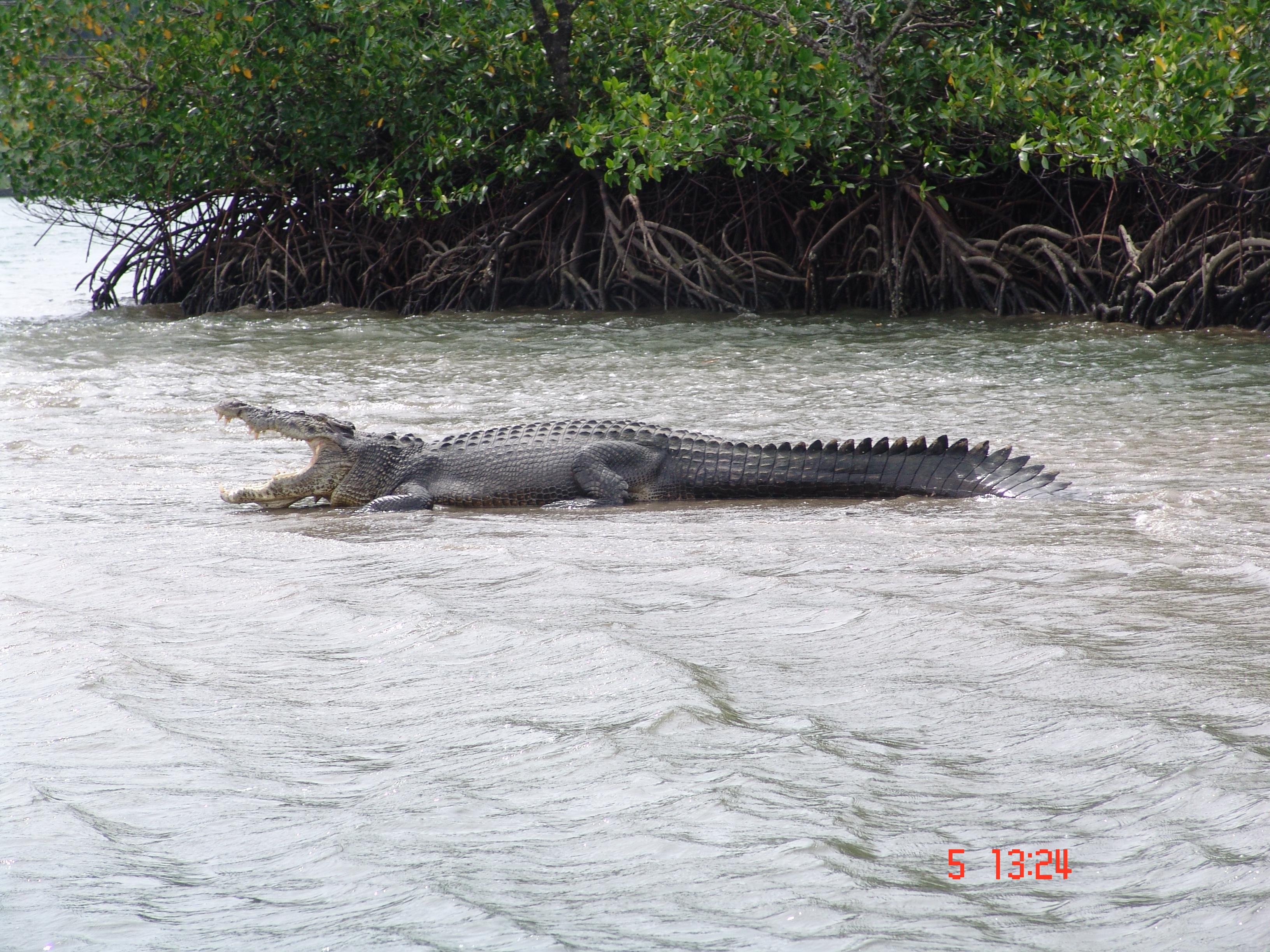 Bharatpur Beach 1